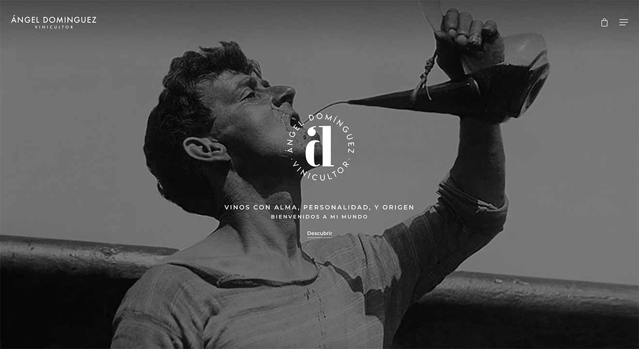 Diseño Web Advino