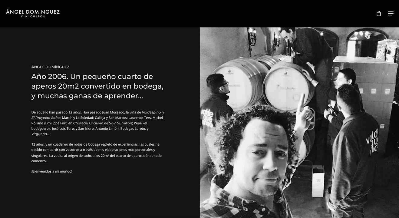 Diseño Web Advino