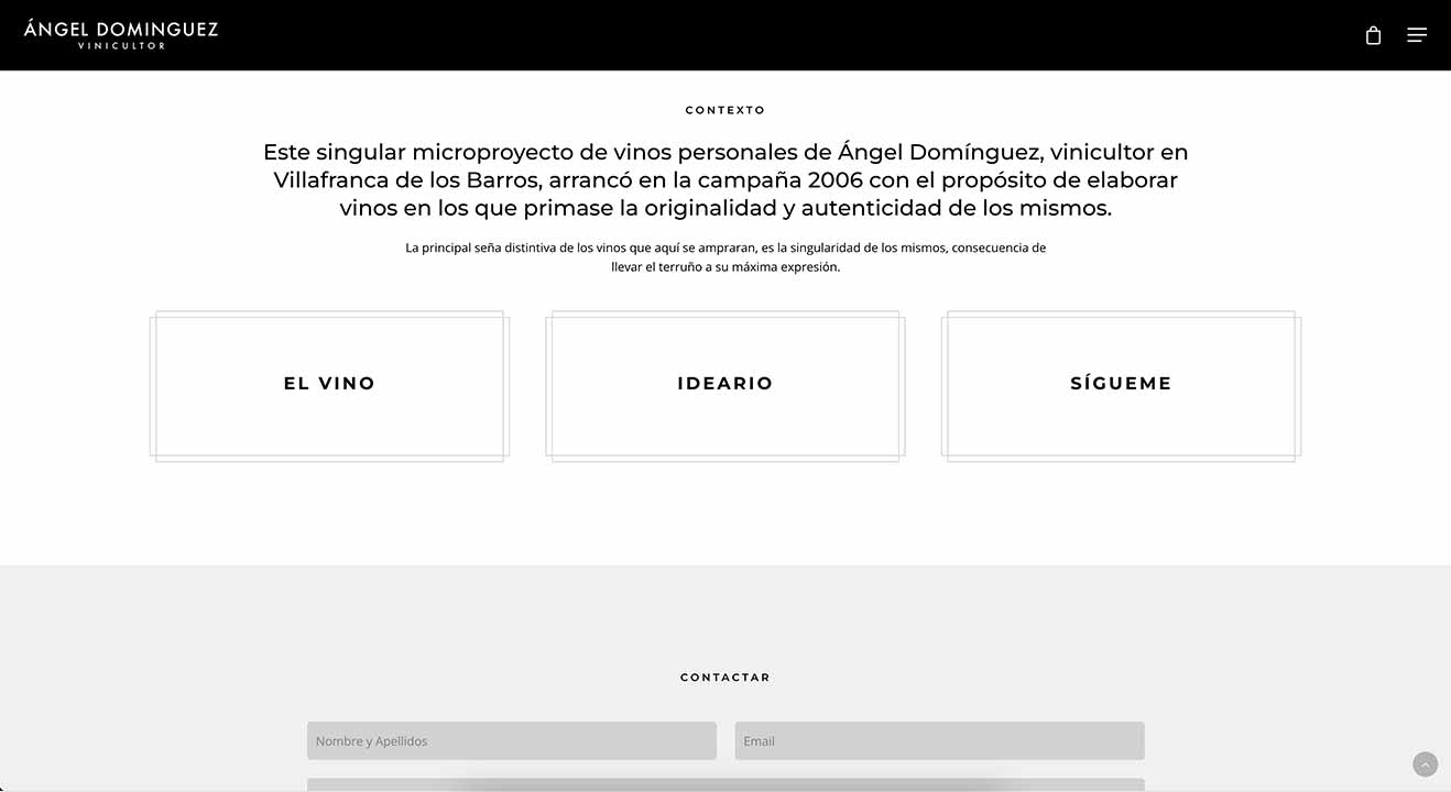 Diseño Web Advino