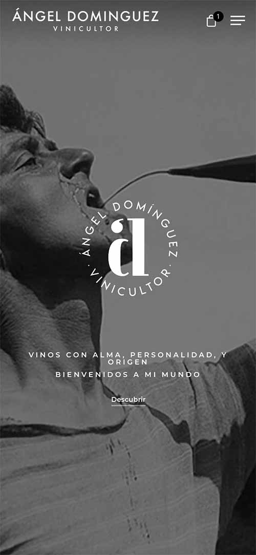 Diseño Web Responsive Advino