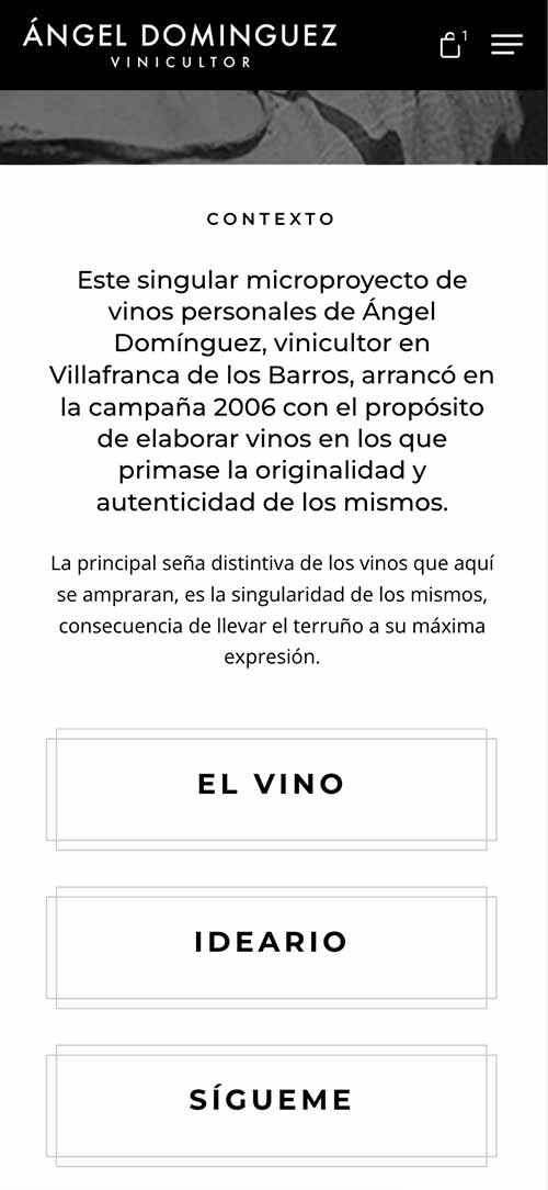 Diseño Web Responsive Advino