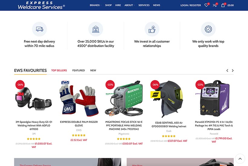 Express Weldcare Services Diseño WEB