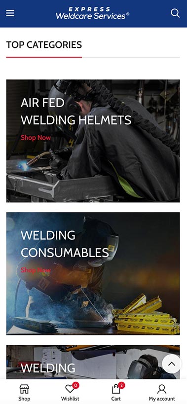 Express Weldcare Services Diseño WEB Responsive