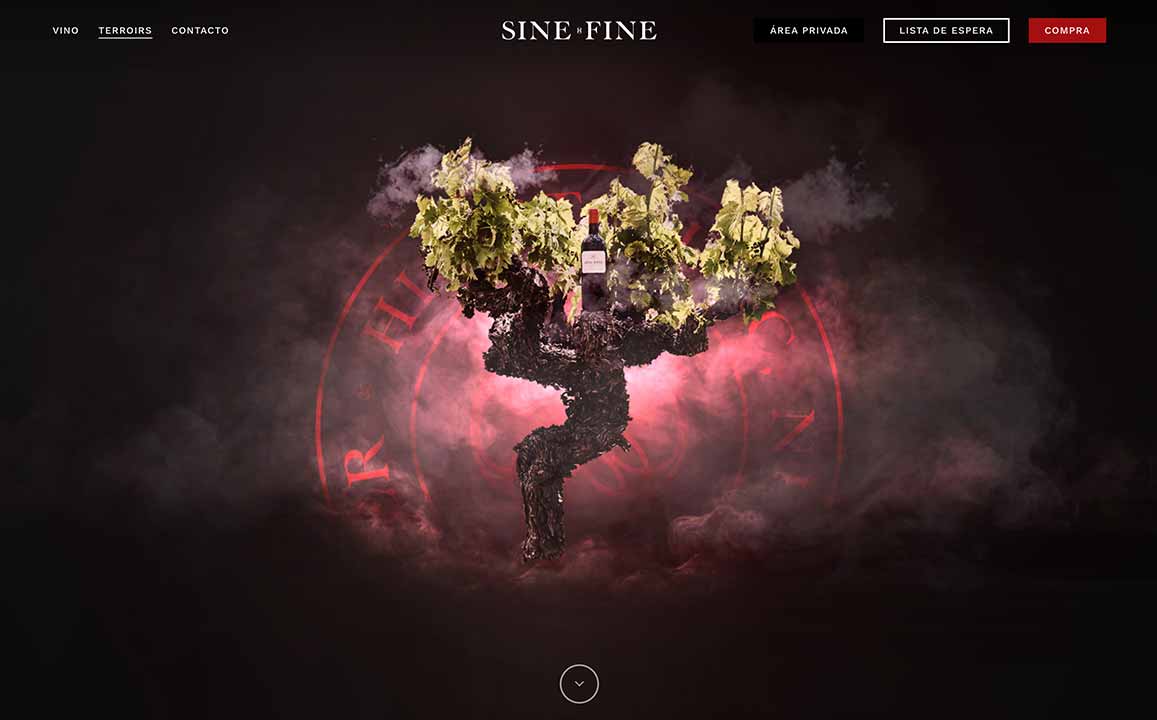 sinefine diseño web