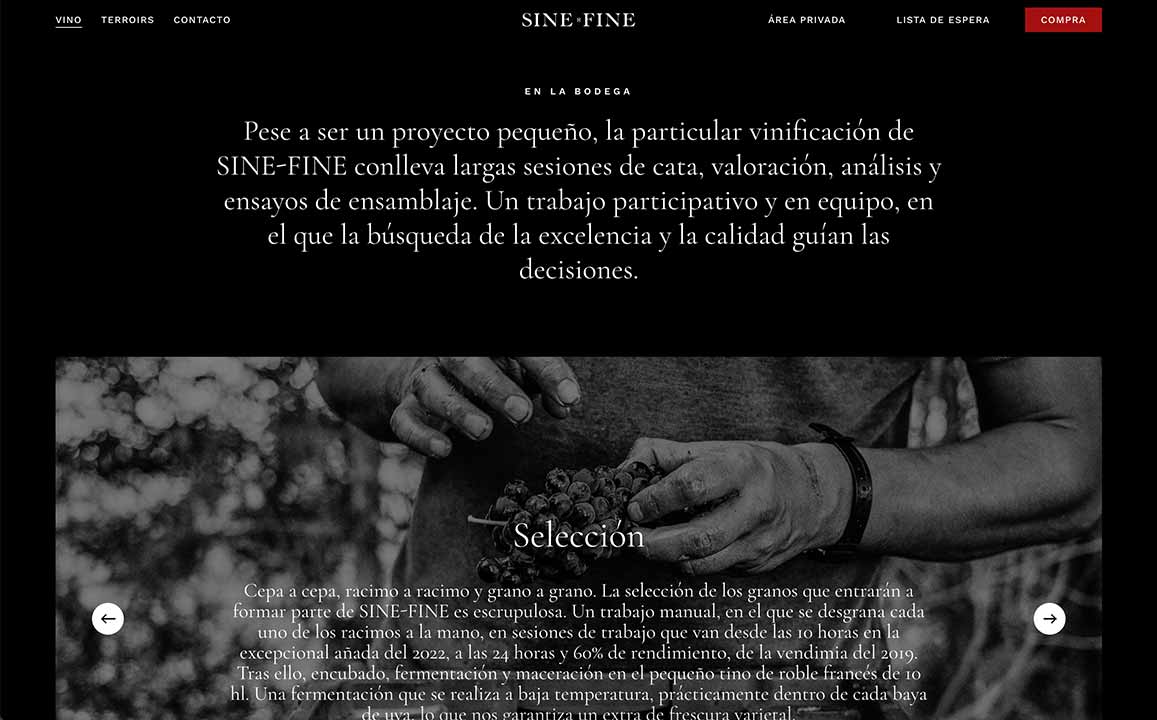 sinefine diseño web