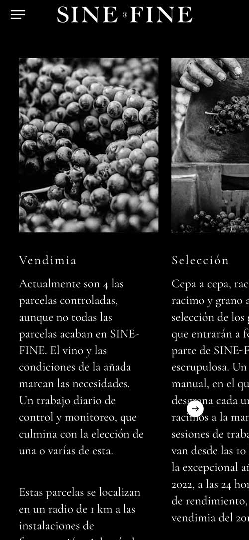sinefine diseño web responsive