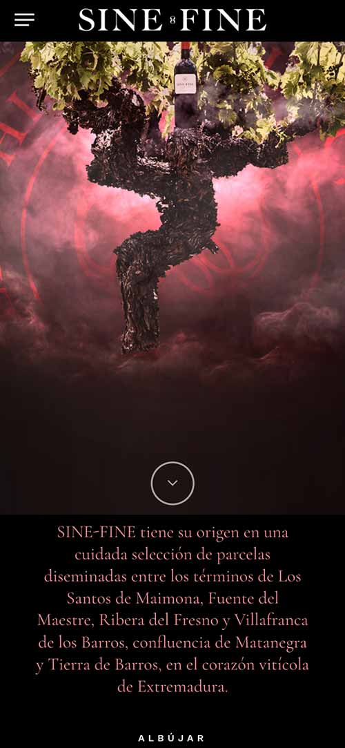 sinefine diseño web responsive