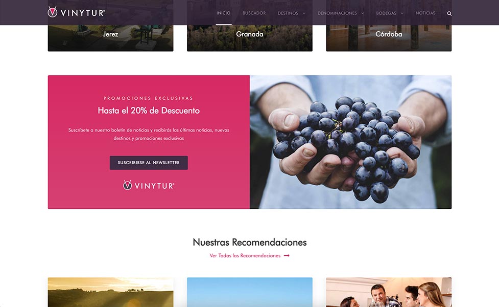 Diseño Web Vinytur