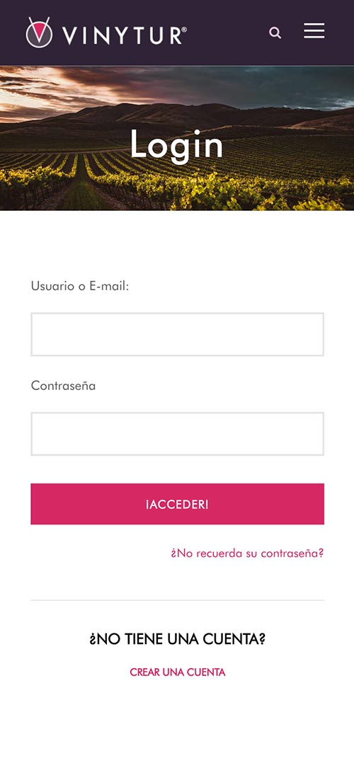 Diseño Web Responsive Vinytur