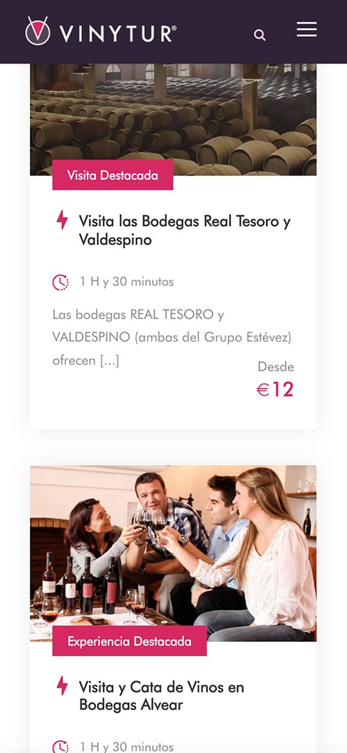 Diseño Web Responsive Vinytur