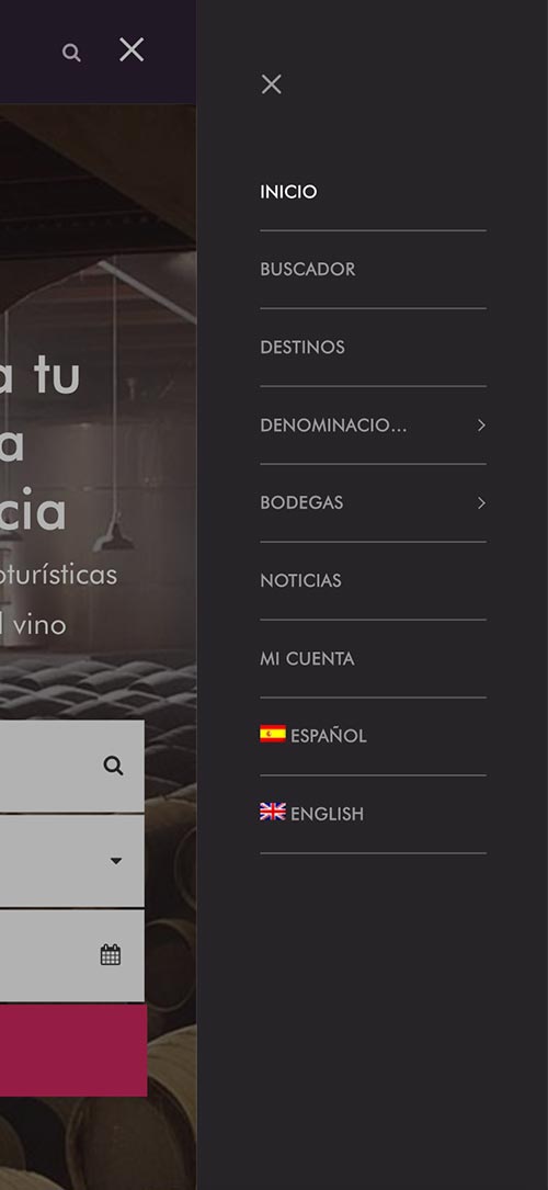 Diseño Web Responsive Vinytur