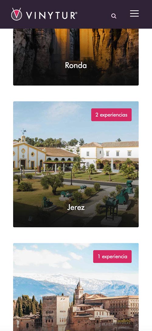 Diseño Web Responsive Vinytur