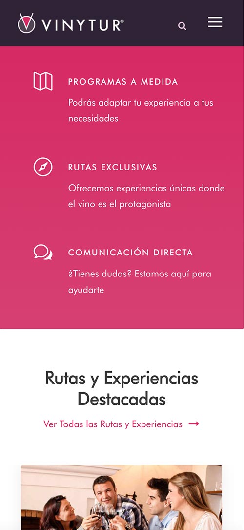 Diseño Web Responsive Vinytur